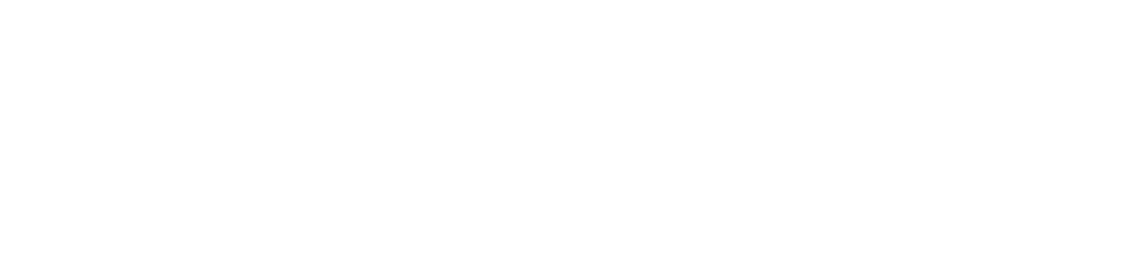 Logo Provider Digital - Company that developed this website